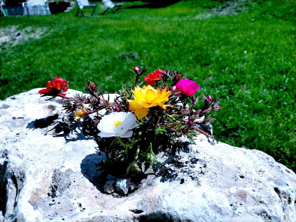 Hotel Flora Alpina Gressoney-Saint-Jean Kültér fotó